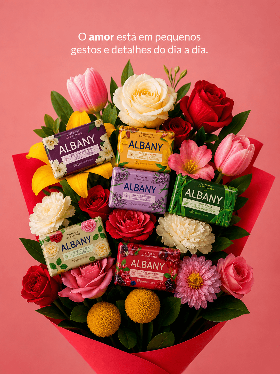Albany 01