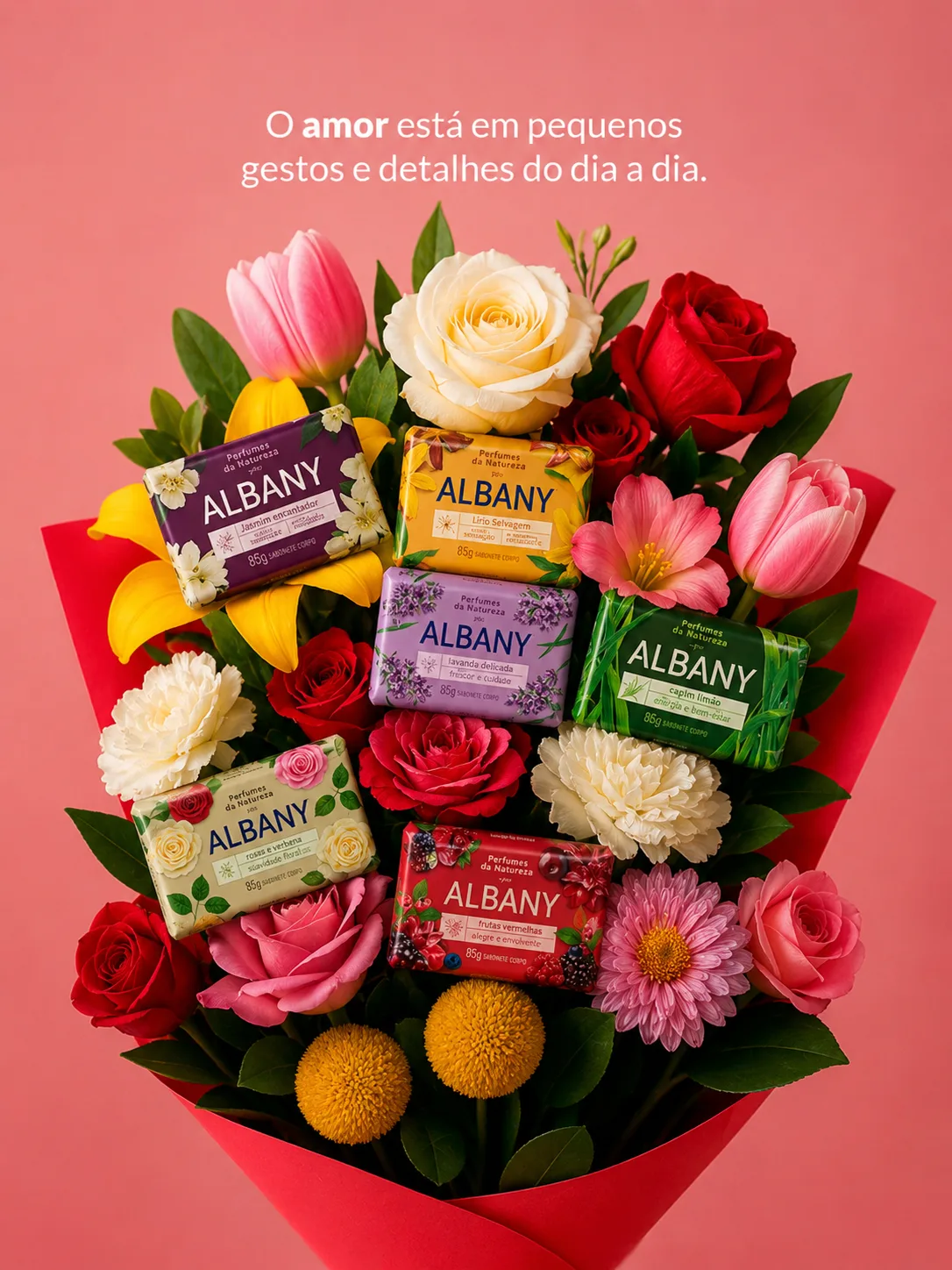 Albany 01