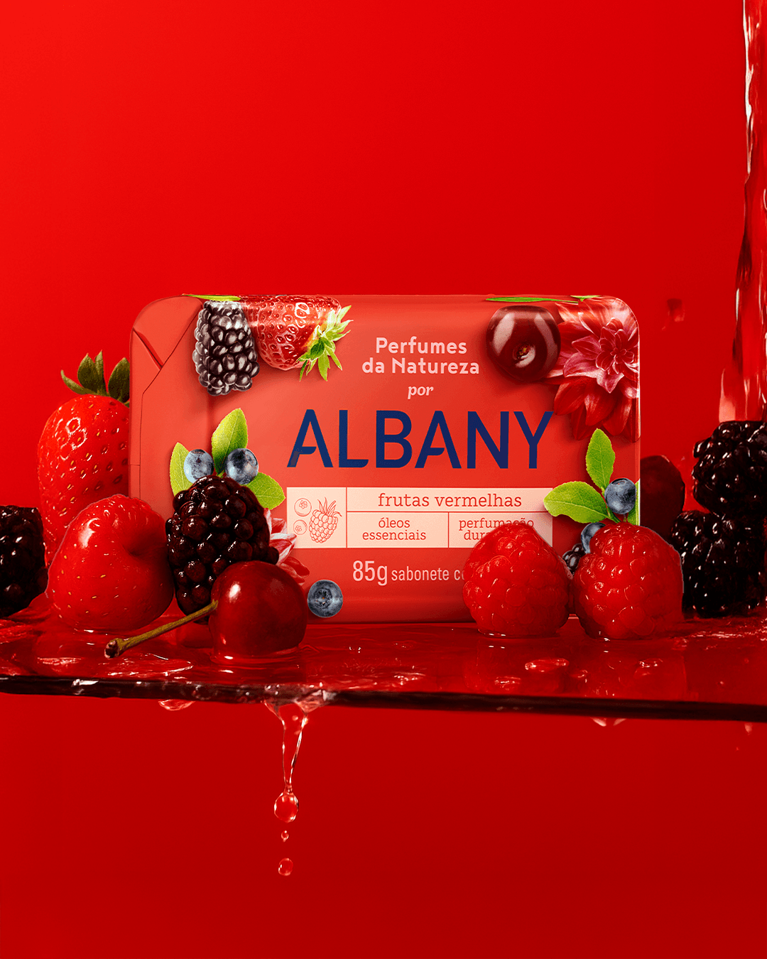 Albany 02