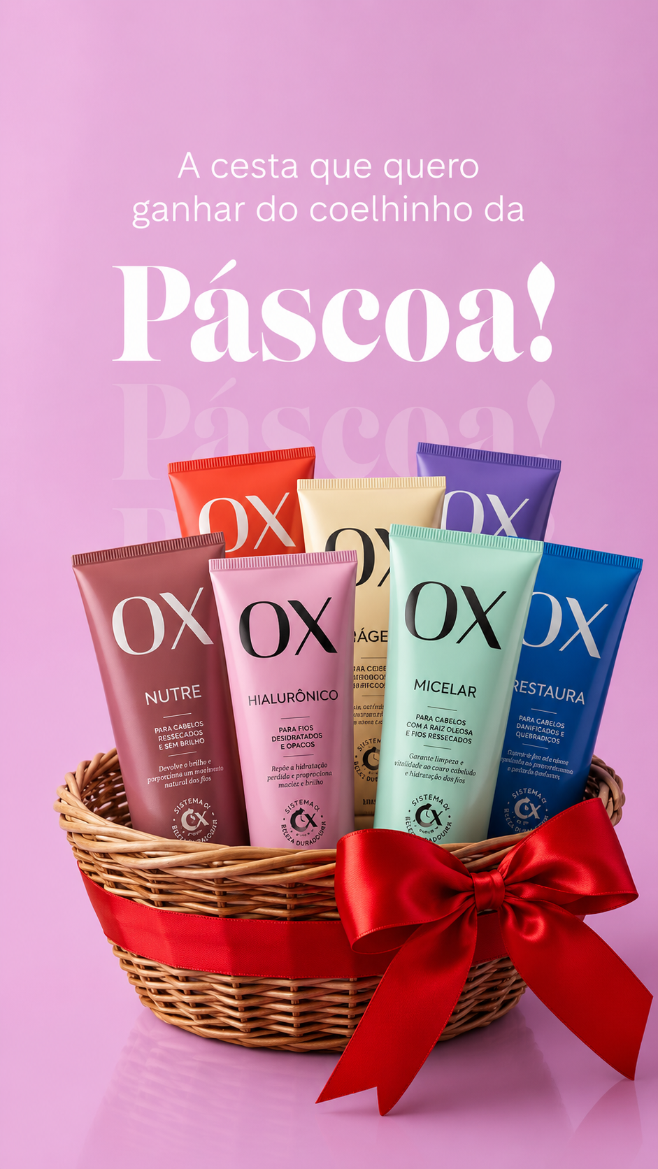 Ox 03